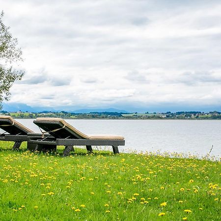Hotel Seebrunn Am Wallersee Henndorf am Wallersee Bagian luar foto