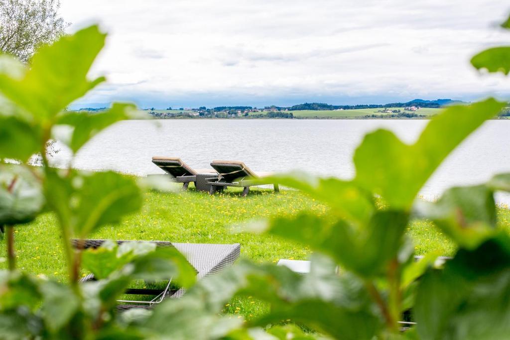 Hotel Seebrunn Am Wallersee Henndorf am Wallersee Bagian luar foto