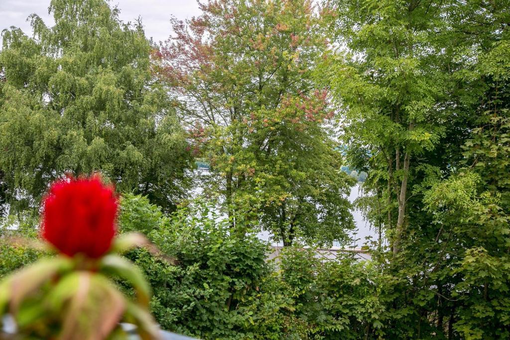 Hotel Seebrunn Am Wallersee Henndorf am Wallersee Bagian luar foto